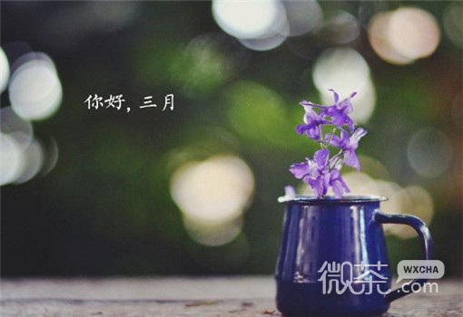 微信励志暖心三月你好唯美配图下载