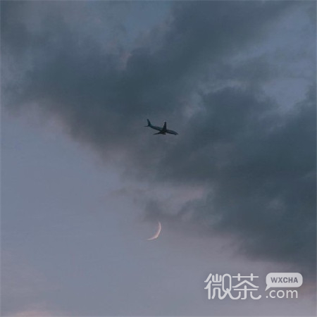 2018微信最新唯美风景主题配图合集下载