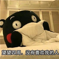 没人喜欢熊本熊系列微信恶搞表情包合集下载