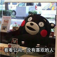 没人喜欢熊本熊系列微信恶搞表情包合集下载