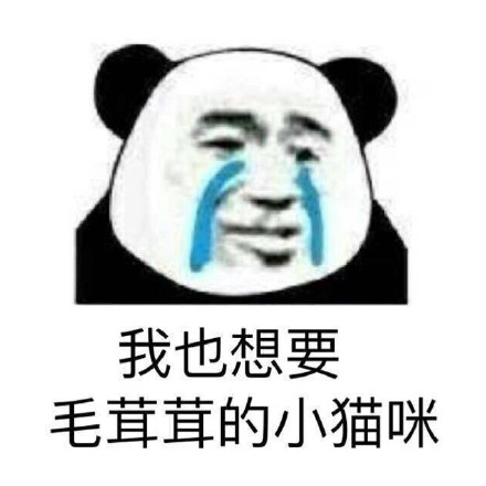 微信2018最新热门搞笑表情包合集下载
