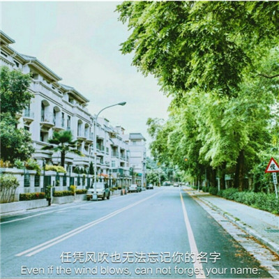 2018唯美伤感微信带字头像合集下载