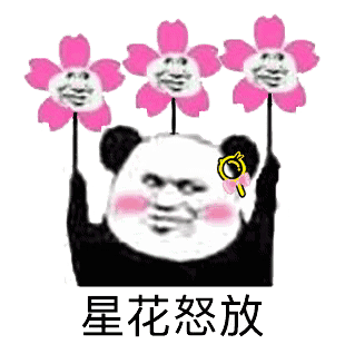 可爱萌萌哒的快乐海星熊猫头微信表情包合集下载