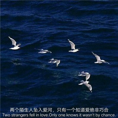 2018唯美伤感微信带字头像合集下载