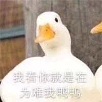 可爱搞笑关于鹅的微信文字表情包下载