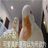 可爱搞笑关于鹅的微信文字表情包下载
