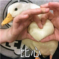 可爱搞笑关于鹅的微信文字表情包下载