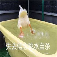 可爱搞笑关于鹅的微信文字表情包下载