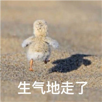 可爱搞笑关于鹅的微信文字表情包下载