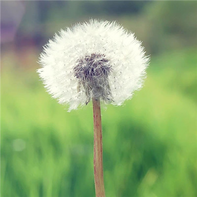 吉利好看微信唯美风景系列头像合集下载