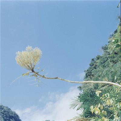 吉利好看微信唯美风景系列头像合集下载