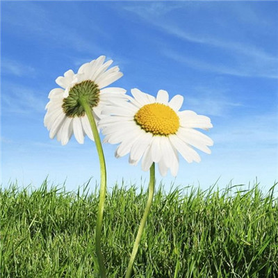 吉利好看微信唯美风景系列头像合集下载