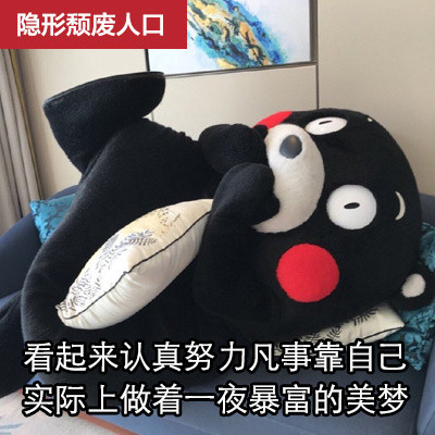 可爱搞笑微信人口分类熊本熊表情包合集下载