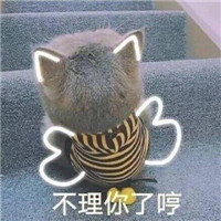 可爱萌萌哒的喵星人比心表情包合集下载