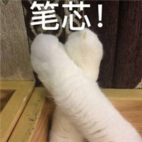 可爱萌萌哒的喵星人比心表情包合集下载