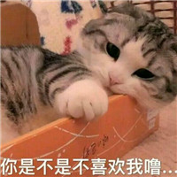 可爱萌萌哒的喵星人比心表情包合集下载