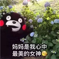 2018微信最新母亲节快乐熊本熊表情包合集下载