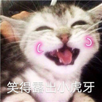 可爱萌萌哒的喵星人比心表情包合集下载