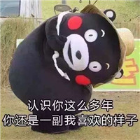 2018微信最新母亲节快乐熊本熊表情包合集下载
