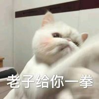 可爱爆笑恶搞文字系列微信头像合集下载