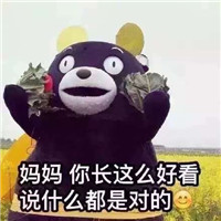 2018微信最新母亲节快乐熊本熊表情包合集下载