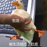 2018微信最新爆笑配字表情包头像合集下载