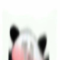 可爱爆笑熊猫头天热恶搞表情包头像合集下载