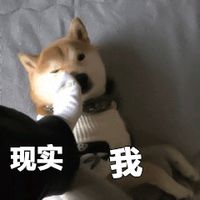 2018微信最新爆笑配字表情包头像合集下载