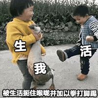 2018微信最新爆笑配字表情包头像合集下载