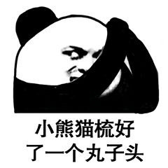 2018微信梳理发型熊猫头表情包合集下载