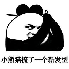 2018微信梳理发型熊猫头表情包合集下载