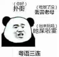 2018微信可爱爆笑熊猫头恶搞聊天怼人表情包合集下载