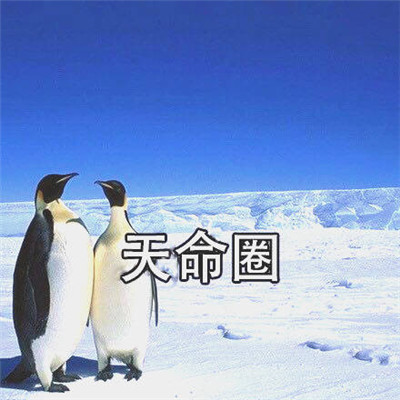 关于天热的爆笑文字吐槽表情包合集下载