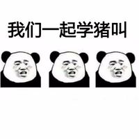 可爱爆笑熊猫头学猪叫系列恶搞微信表情包头像下载