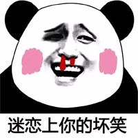 可爱爆笑熊猫头学猪叫系列恶搞微信表情包头像下载