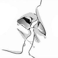 18年微信最新性感大尺度二次元系列情侣头像合集下载