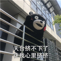 2018微信最新熊本熊世界杯土味情话表情包套图下载