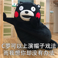 2018微信最新熊本熊世界杯土味情话表情包套图下载