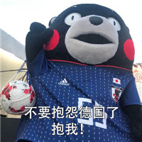 2018微信最新熊本熊世界杯土味情话表情包套图下载