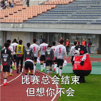 2018微信最新熊本熊世界杯土味情话表情包套图下载