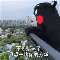 2018微信最新熊本熊世界杯土味情话表情包套图下载
