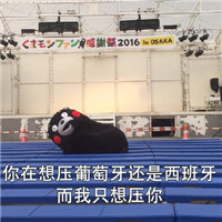2018微信最新熊本熊世界杯土味情话表情包套图下载