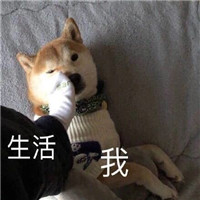 微信搞笑系列表情包