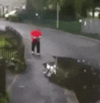 微信表情包真人搞笑gif素材