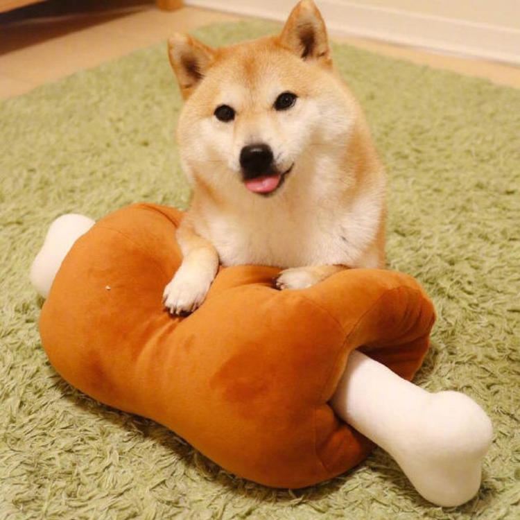 可爱萌系列宠物微信头像