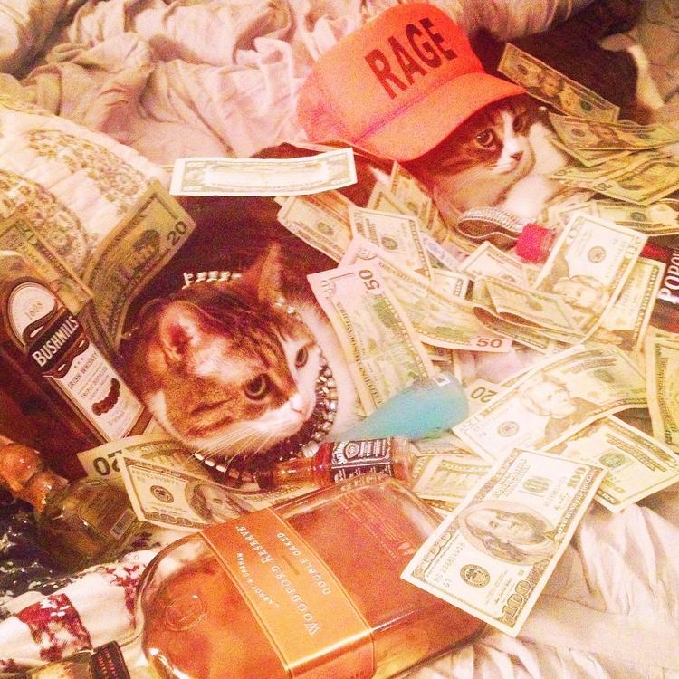 可爱萌系列宠物微信头像