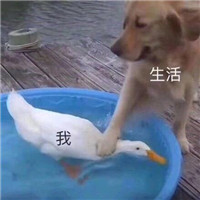 微信搞笑系列表情包