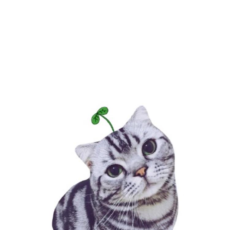 可爱萌系列宠物微信头像