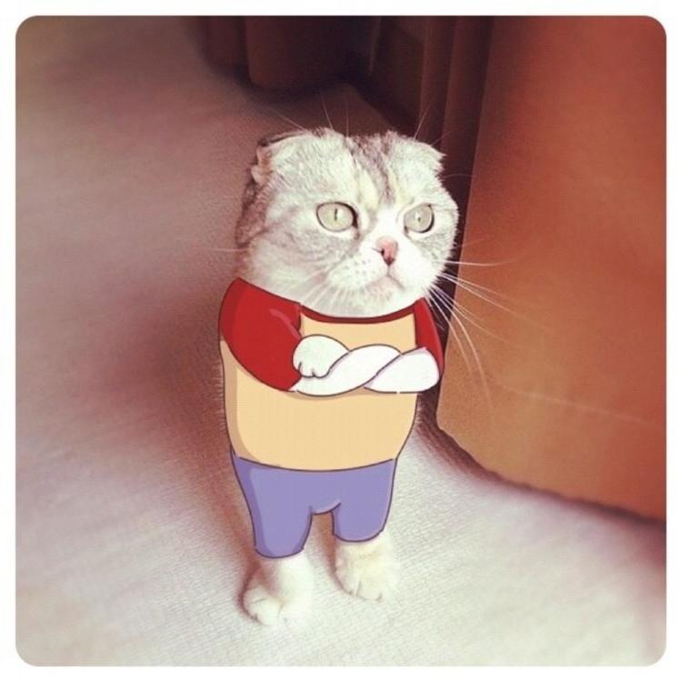 可爱萌系列宠物微信头像