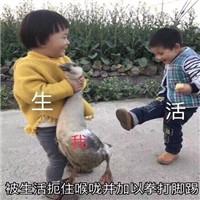 微信搞笑系列表情包